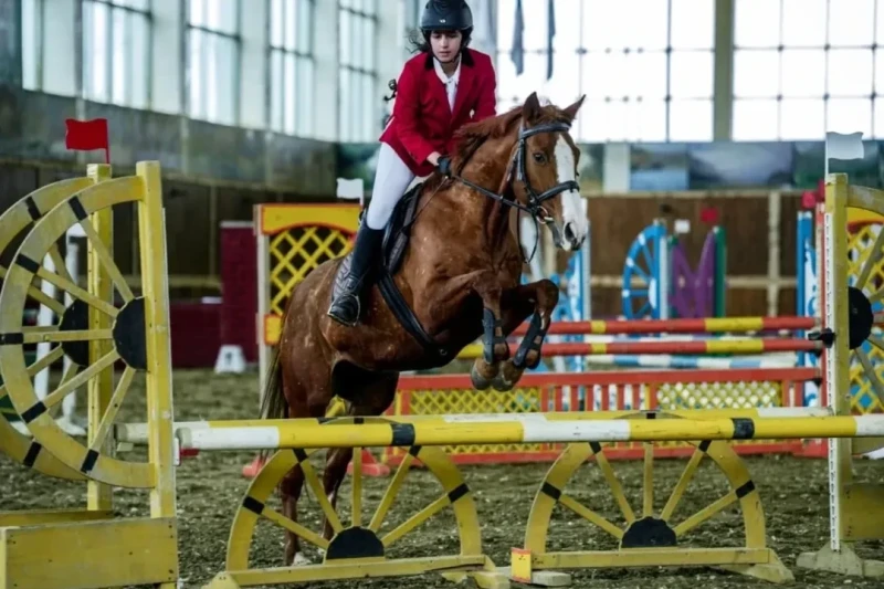 Border Guard Cup Show Jumping Competitions Completed: Winners Determined
