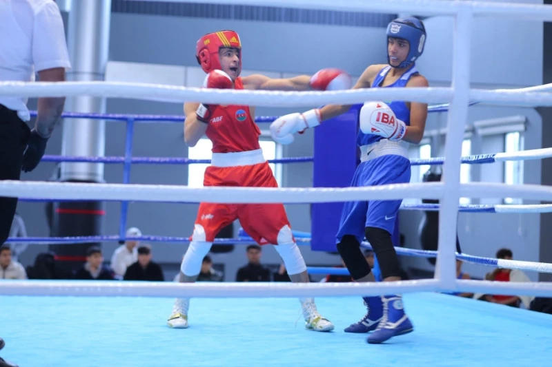 Boxing tournament dedicated to the memory of the Patriotic War martyr held in Lankaran