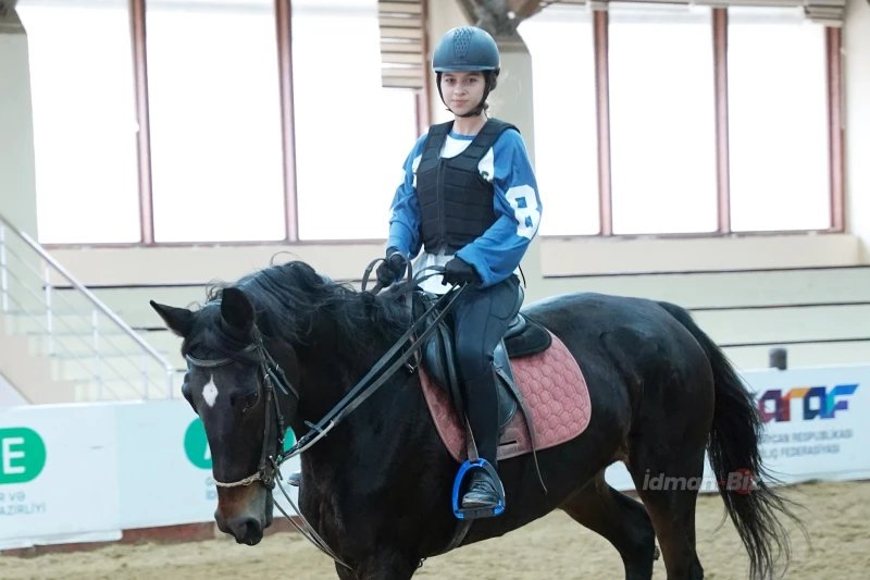 Elite Horse Club: Azərbaycan Atlarının Məşq Mərkəzi və Gələcək Çempionlar Yuvası