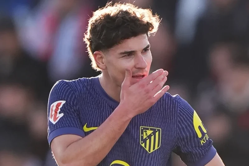 Barcelona will not take a big financial risk for Alvarez