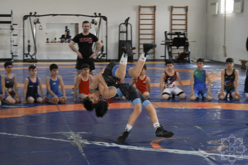 Gəncə güləşçilərinin uğurları: medal yağışı və gələcəyə ümid - FOTO/VİDEO