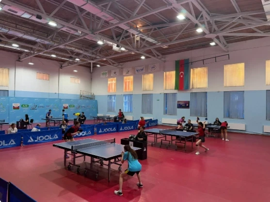 Results of the national table tennis championship team competitions announced