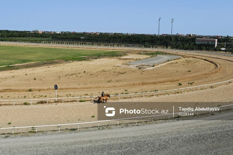 Photos from Bina Equestrian Center: Equestrian Services and Competitions