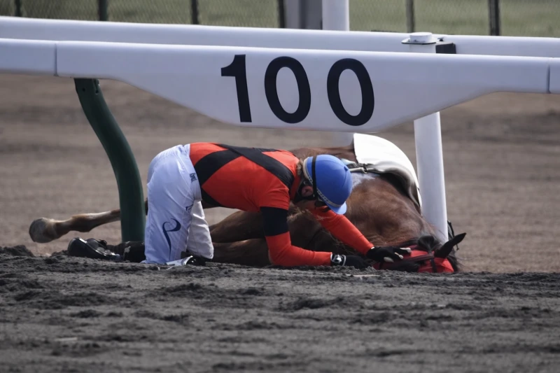 Упавший жокей забыл о своей боли и в первую очередь позаботился о своей лошади