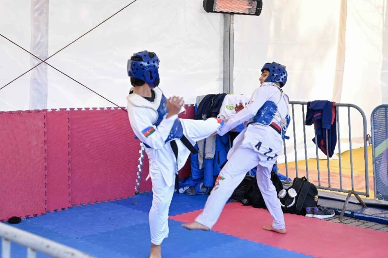 В Габале открылся IV Спортивный фестиваль: было продемонстрировано 24 вида спорта