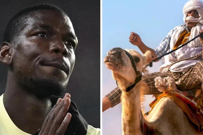 Pol Poqba Əl-Xabub dəvə yarışları komandasının səhmdarı oldu