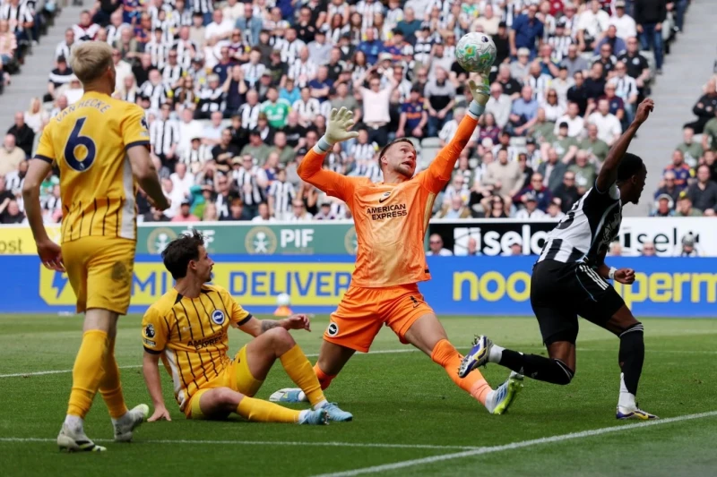 Newcastle United Wins Against Brighton