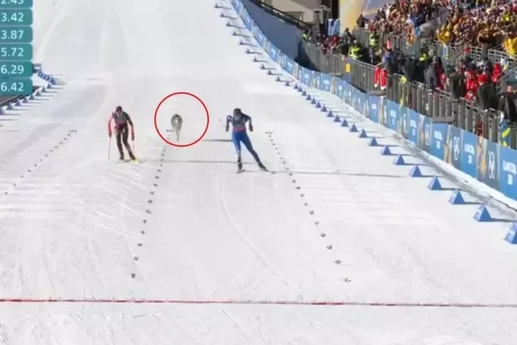 Qış Olimpiya Oyunlarında Canavar Yarışı Pozdu: İdmançıların Ardınca Qaçdı