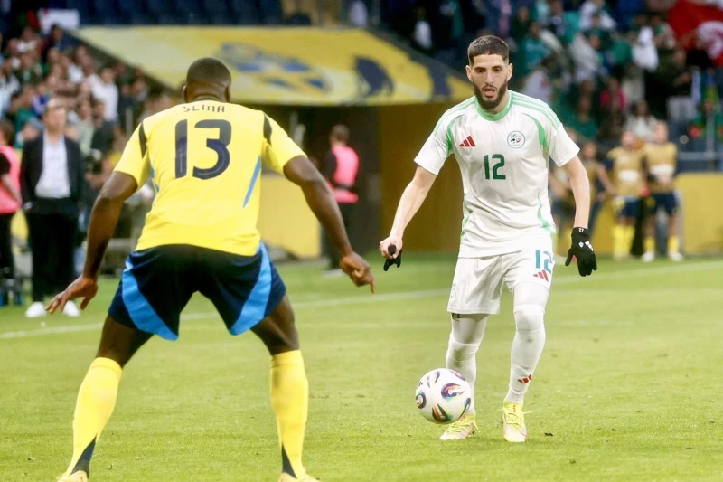 Yassin Benzia's efforts did not bring victory over Sweden to Algeria