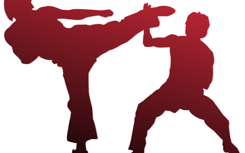 Karate tournament dedicated to the memory of the Patriotic War martyr will be held