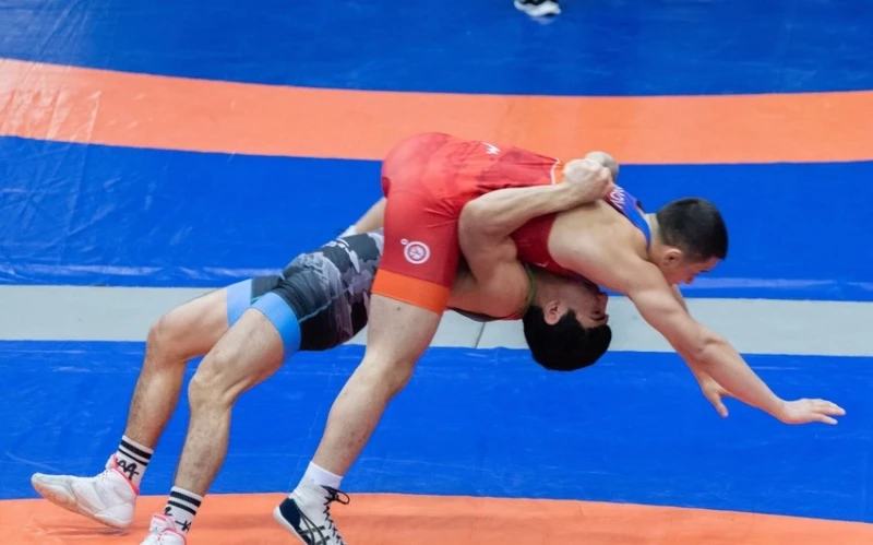 Güləş üzrə Azərbaycan çempionatına yekun vurulub