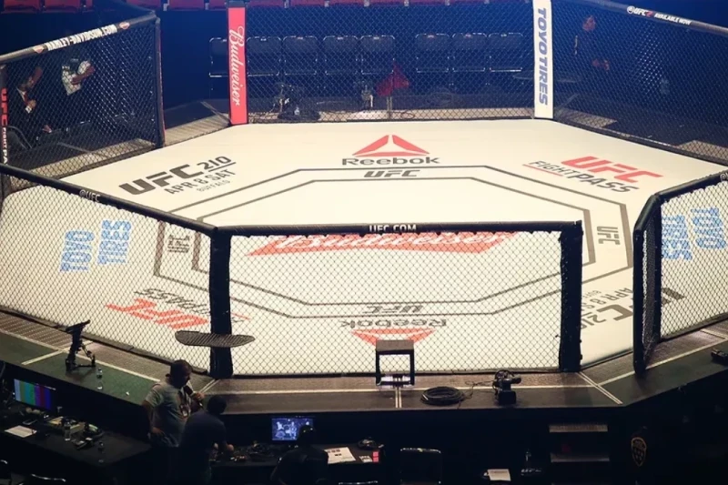 UFC Fight Night: Bakıda ilk döyüş başa çatdı, qalib məlum oldu
