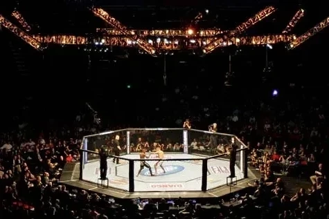 UFC bonuslarını ikiqat artırdı və erkən qələbə üçün əlavə mükafat təyin etdi