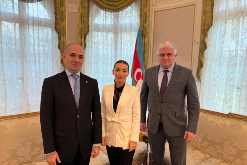 Fransa matçı öncəsi səfirdən milli komandaya dəstək - FOTO