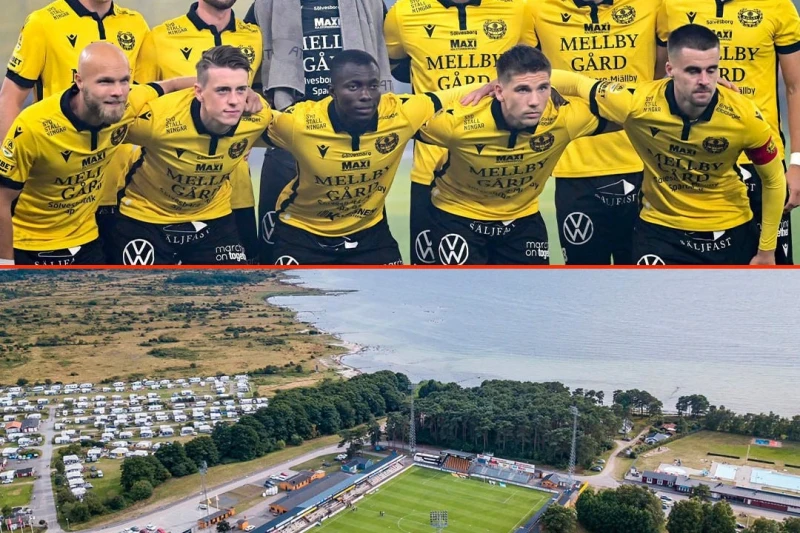Village team Möllerby became Swedish champion