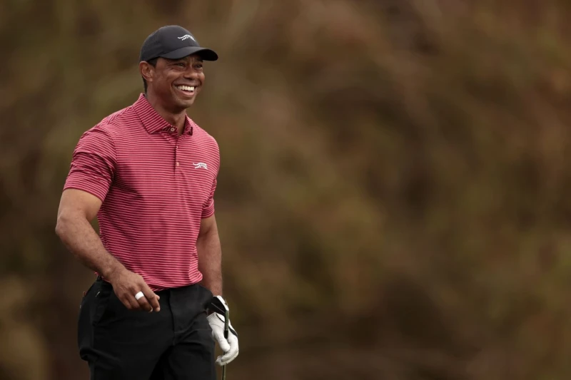 Tiger Woods released on bail, faces charges of refusing test and damaging property