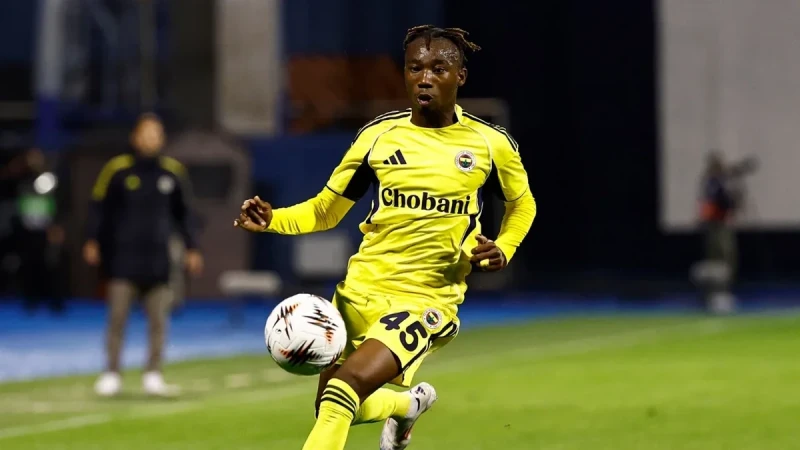 Dortmund Borussiyası Fənərbağçanın futbolçusu Dorjeles Nene ilə maraqlanır