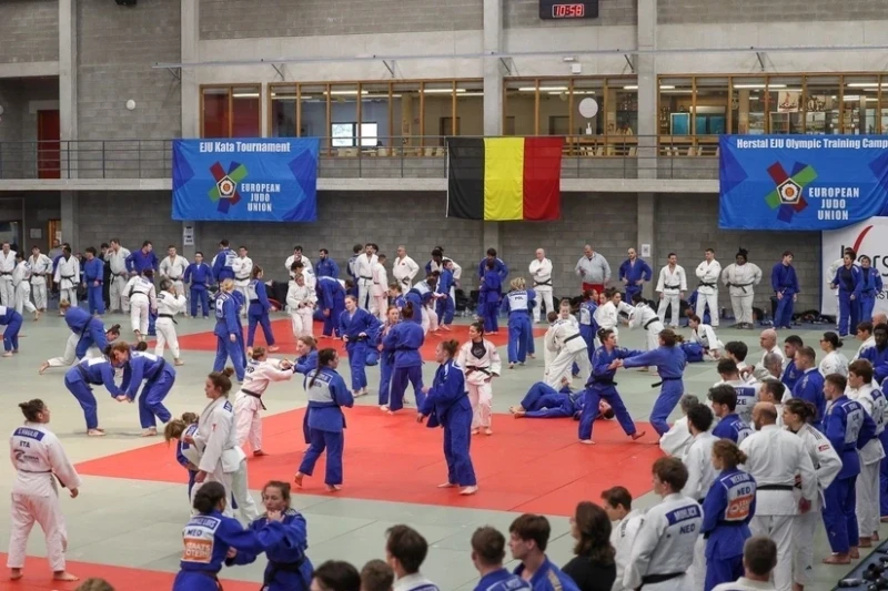 35 азербайджанских дзюдоистов тренируются на Олимпийском тренировочном лагере в Бельгии