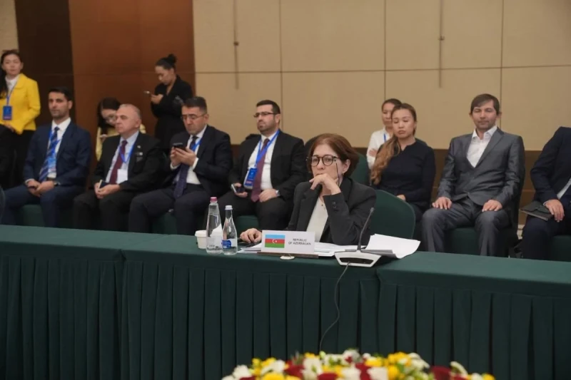 İndira Hacıyeva Bişkekdə TDT-nin gənclər və idman nazirlərinin iclasında iştirak edib