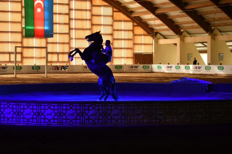 Turkmenistan's Galkynyş group held a magnificent equestrian games show at the Bina Equestrian Center