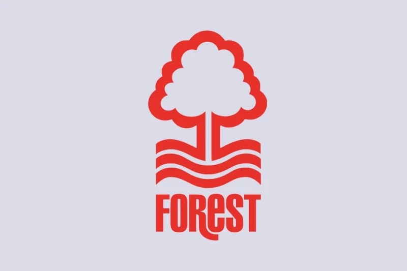 Postecoglou, Mourinho ve Marco Silva Nottingham Forest teknik direktörlüğü için aday gösteriliyor