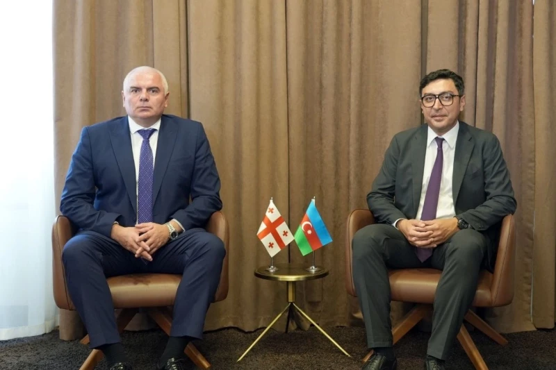 Fərid Qayıbov və Şalva Qoqoladze idman sahəsində əməkdaşlığı müzakirə ediblər - FOTO
