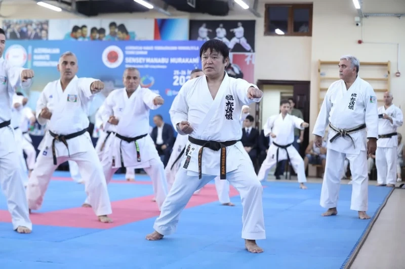 Bakıda keçirilən karate üzrə texniki seminar başa çatıb
