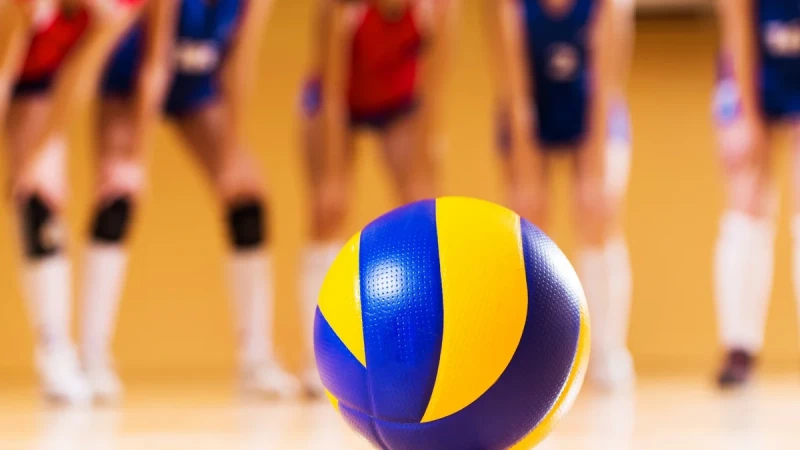 Leyla Əliyeva: EEVZA çempionatında beşinci yer istədiyimiz nəticə deyil