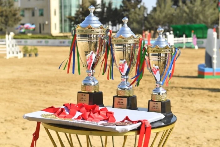 Results of the "ARAF" Cup Show Jumping Competitions at Bina Equestrian Center - PHOTO