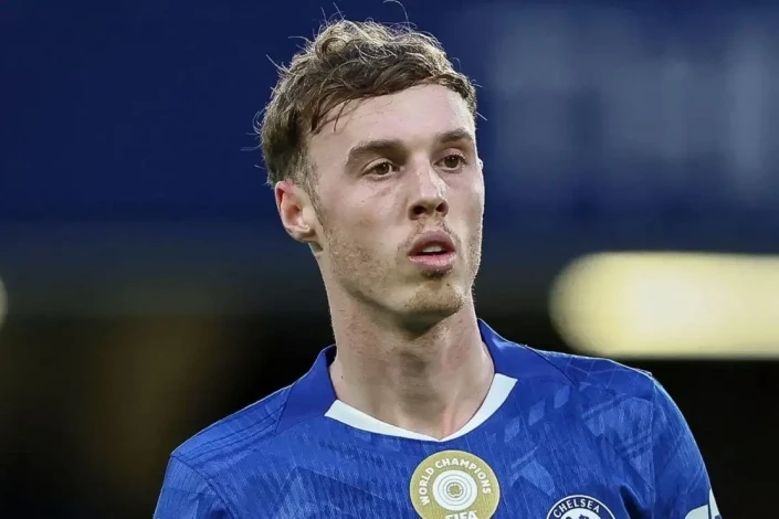 Palmer Nikolas Cekson üçün darıxır: Səbəblər və Tənqidlər