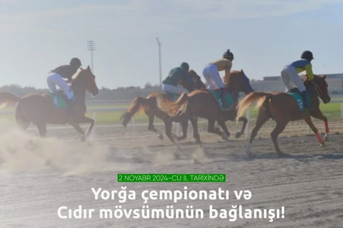 Bakıda yorğa atların çempionatı olacaq