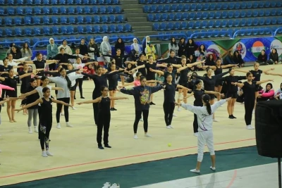 Azərbaycanın bədii gimnastika yığmasının məşqçisi beynəlxalq kursda iştirak edib