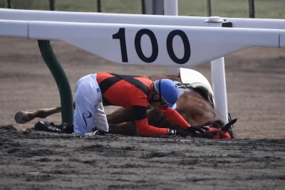 Yıxılan jokey öz ağrısını unudub ilk növbədə atının qayğısına qaldı