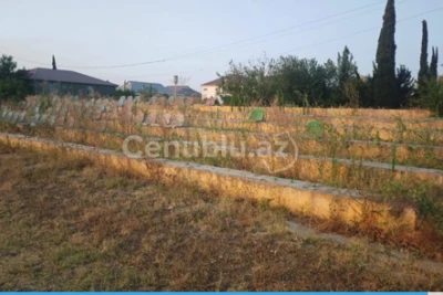 Cəlilabad stadionunda acınacaqlı vəziyyət: oturacaqlar yararsız, ağaclar bitib