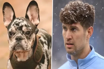 Bernardo Silva İtinə Komanda Yoldaşı Con Stounsun Adını Niyə Verdiyini Açıqladı