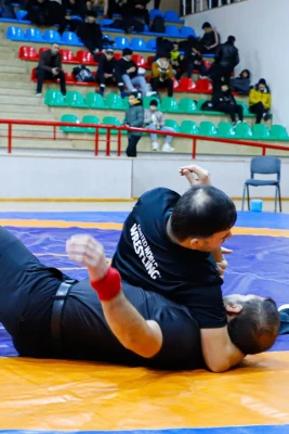 Naxçıvanda güləş hakimləri üçün yeni qaydalar üzrə texniki seminar