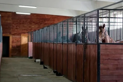 Пожар в конном клубе "Viera" в Петергофе: погибли 18 лошадей